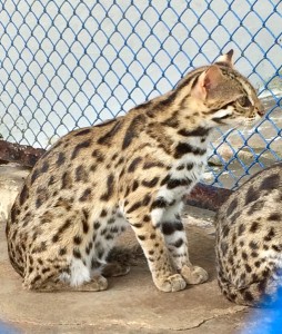 20160215_MyTho2_ - 11