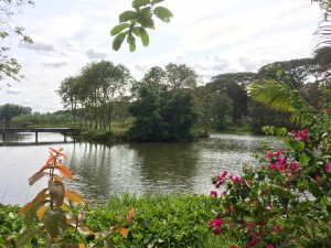 20160215_MyTho2_ - 12