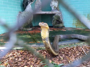 20160215_MyTho2_ - 13