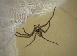 20160216_Mekong_ - 1