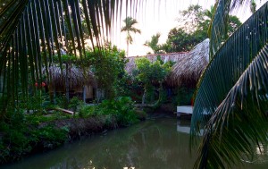 20160217_Mekong_ - 1 (6)