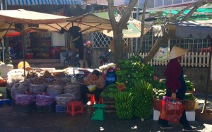 20160219_Dalat_ - 10