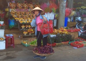 20160219_Dalat_ - 13