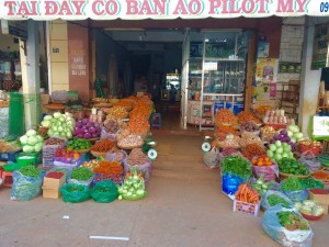 20160219_Dalat_ - 15