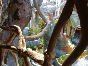 20160219_Dalat_ - 24