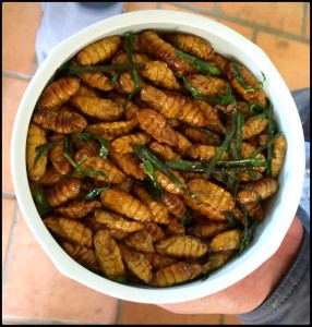 20160220_Dalat_ - 10