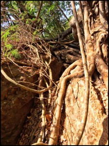 20160220_Dalat_ - 12