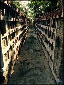 20160224_NhaTrang_ - 7