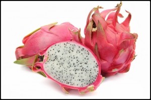 20160225_HoiAn - 1 (1)