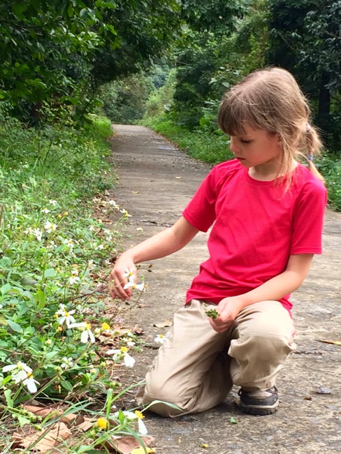 20160309_CatBa - 1 (1)