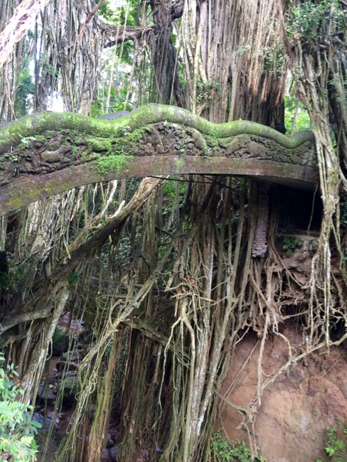 20160312_Ubud - 1 (3)