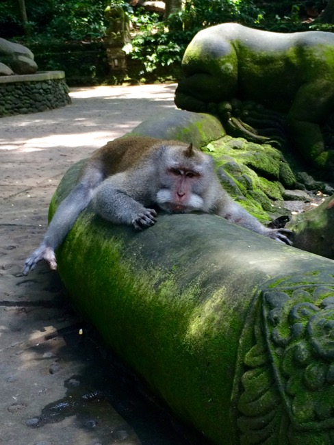 20160313_Ubud - 16