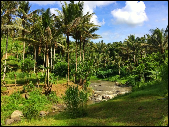 20160314_Ubud - 15