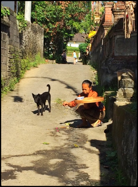 20160314_Ubud - 28