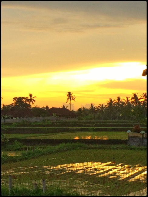 20160314_Ubud - 31