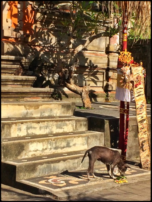 20160314_Ubud - 4