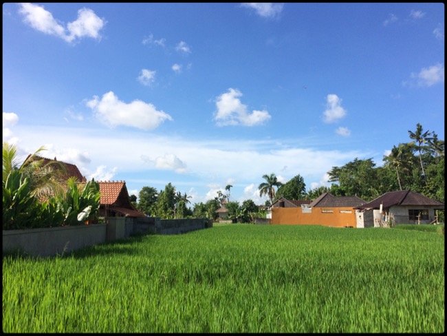 20160314_Ubud - 6