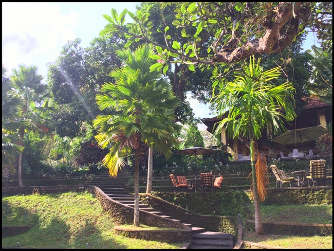 20160315_Ubud - 2