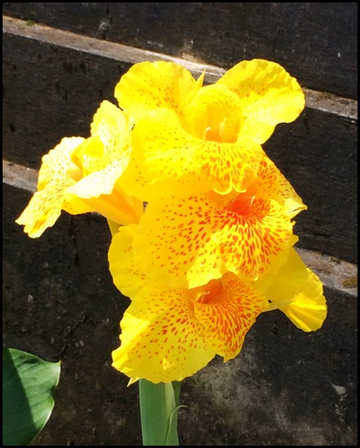 20160316_Bali - 1 (2)