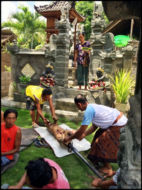 20160322_Pemuteran - 18