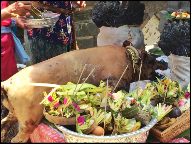 20160322_Pemuteran - 20