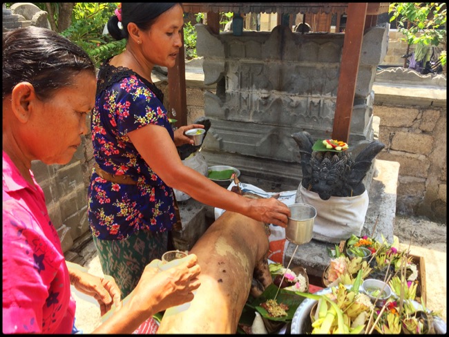 20160322_Pemuteran - 22