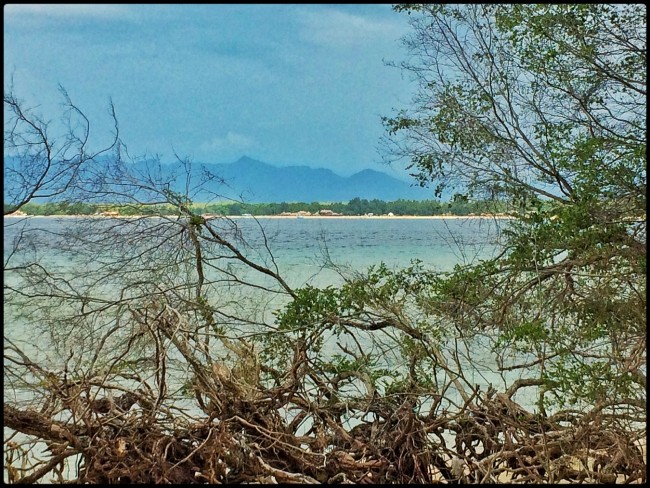 20160326_Gili - 1 (1)