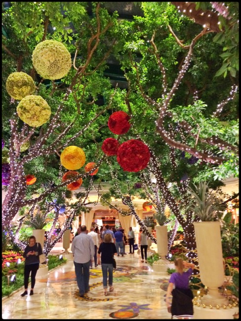 20160407_LasVegas - 2