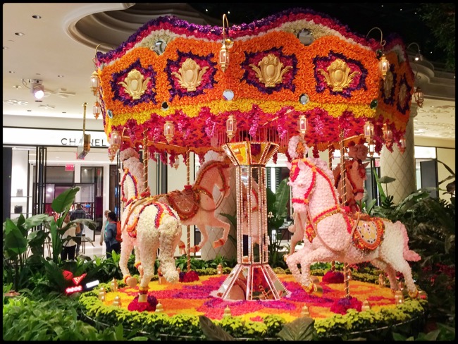 20160407_LasVegas - 4