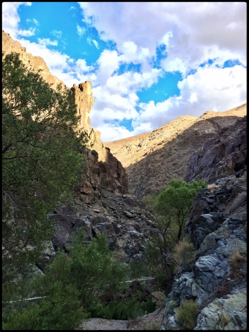 20160409_DeathValley - 4 (1)