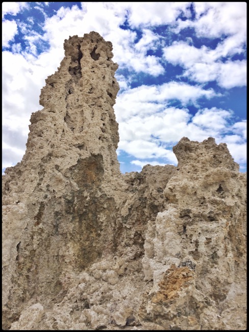 20160410_SanFrancisco - 5