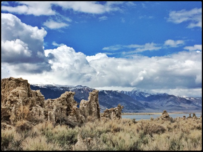 20160410_SanFrancisco - 6