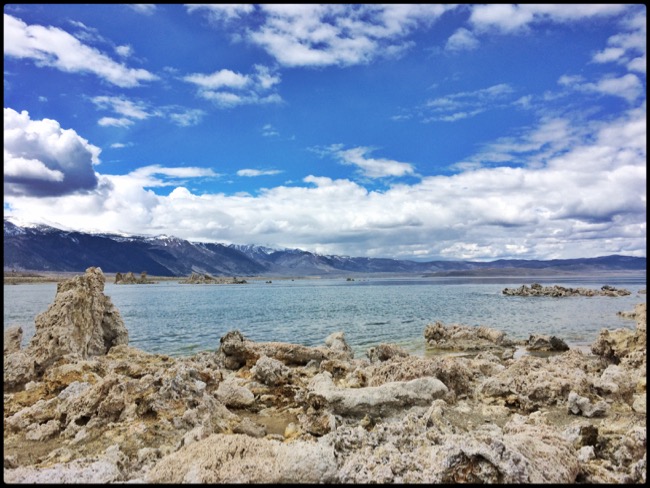 20160410_SanFrancisco - 8