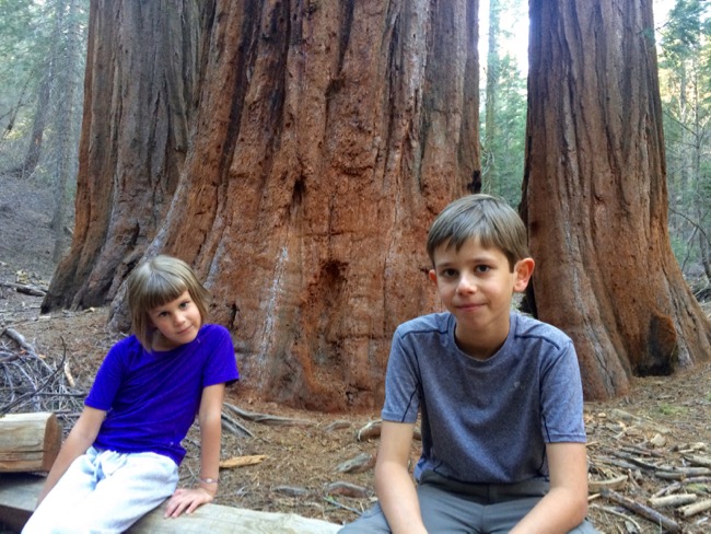 20160416_Yosemite - 1 (1)