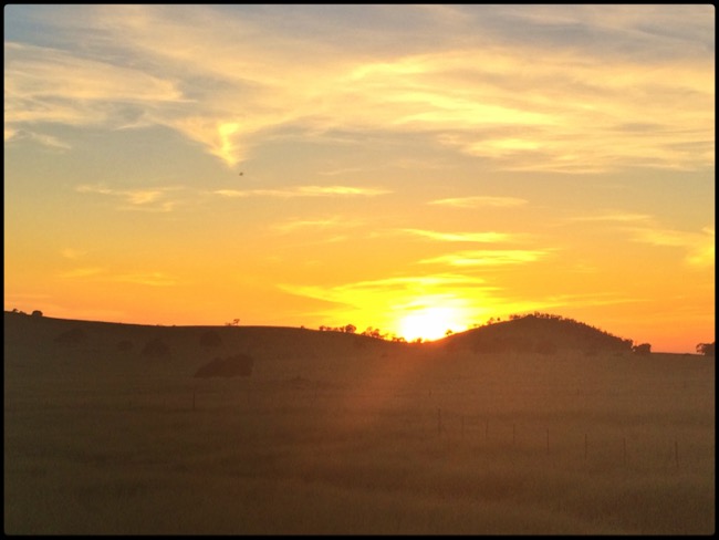 20160416_Yosemite - 2