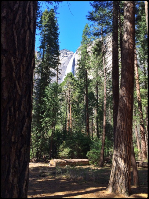 20160416_Yosemite - 6