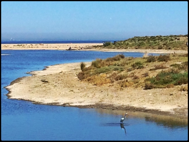 20160418_LosAngeles - 1 (2)