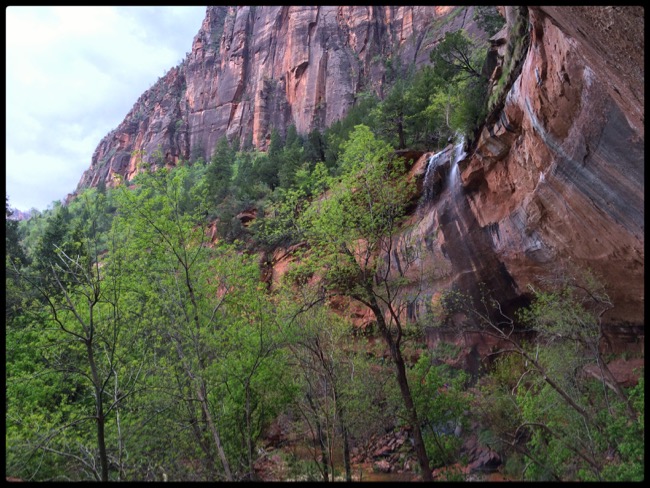 20160501_Zion - 12