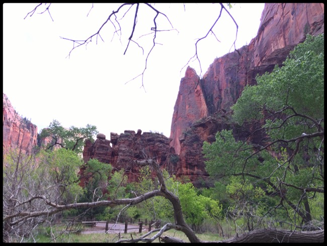20160501_Zion - 27