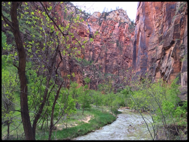 20160501_Zion - 35