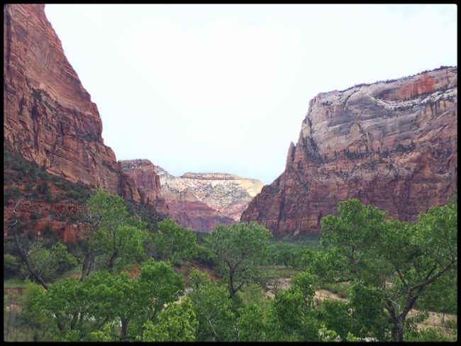 20160501_Zion - 4
