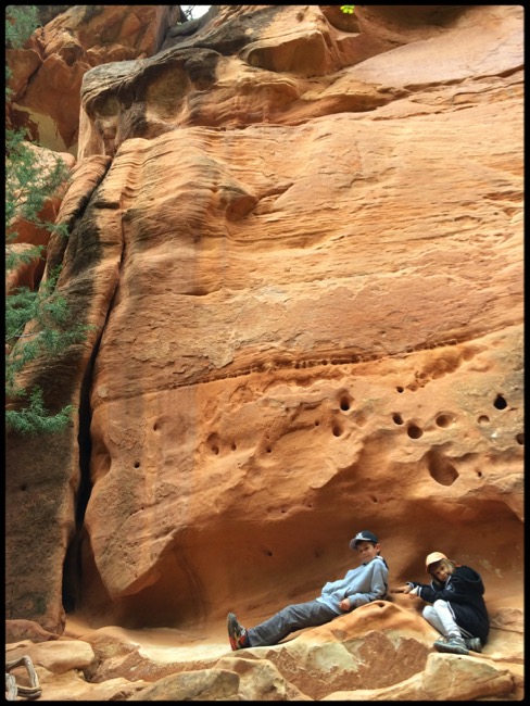 20160501_Zion - 6