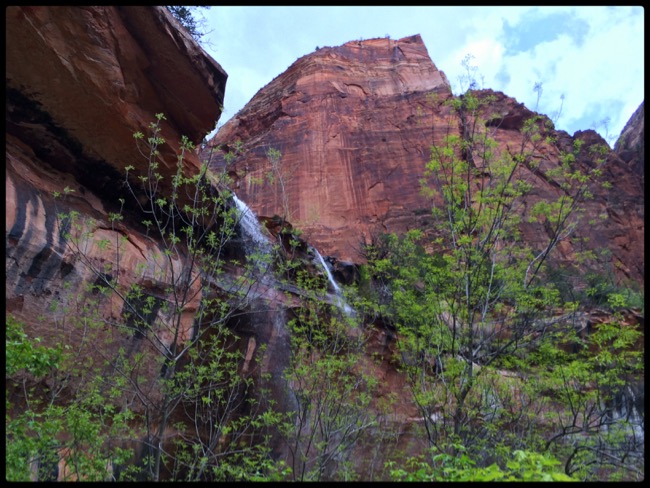 20160501_Zion - 9
